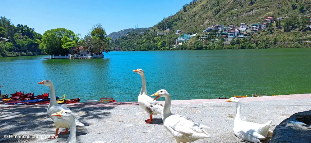Best Places To Visit In Bhimtal Lake in Hindi